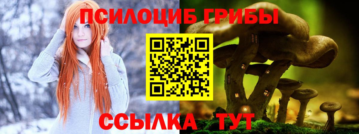 Псилоцибиновые грибы Cubensis  Вход с VPN  Комсомольск-на-Амуре 